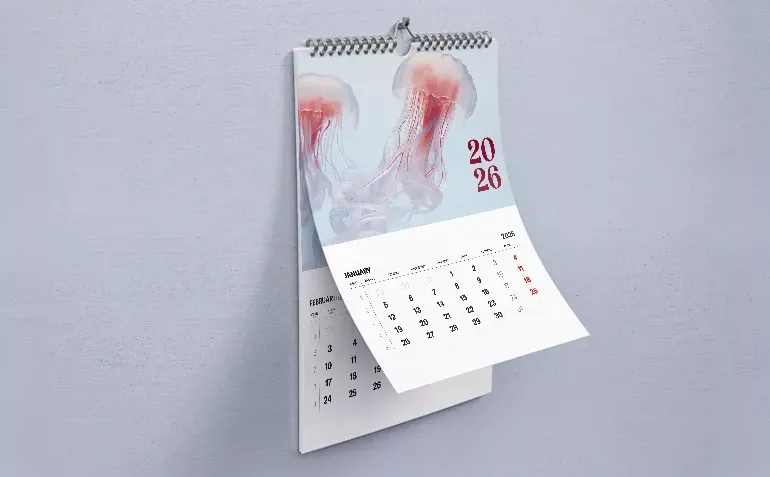 Calendriers muraux à spirale